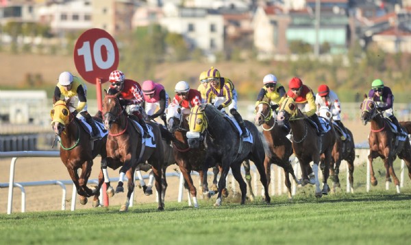 Başkentte Cumhuriyete Yakışan Mücadele! Safkanlardan Muhteşem Sezon Finali